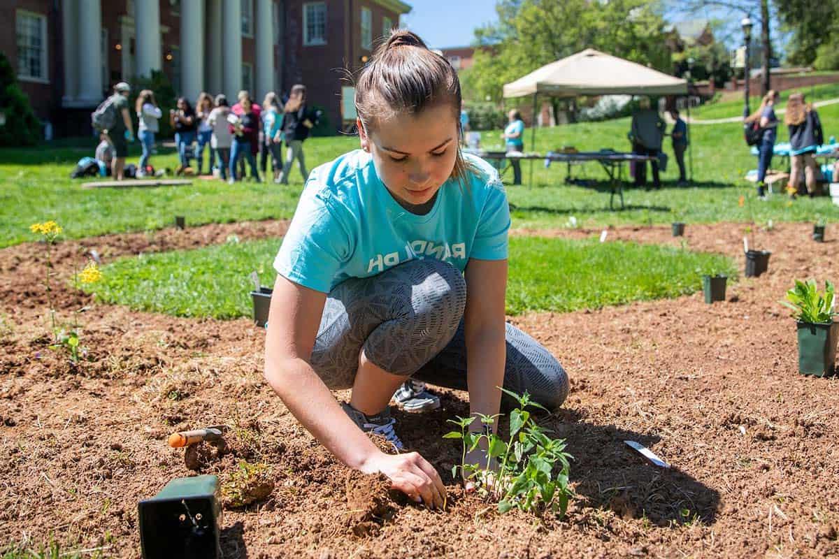 Female student plants flowers in a butterfly garden on front campus.